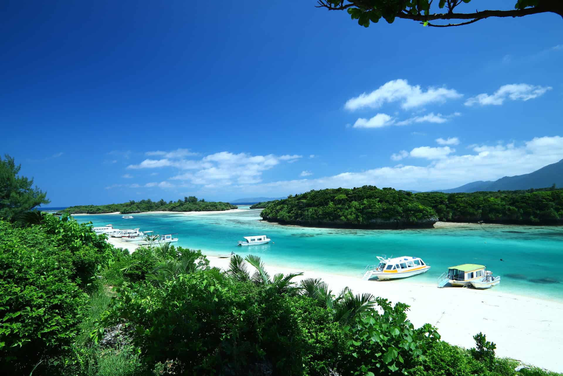 ishigaki ishigaki