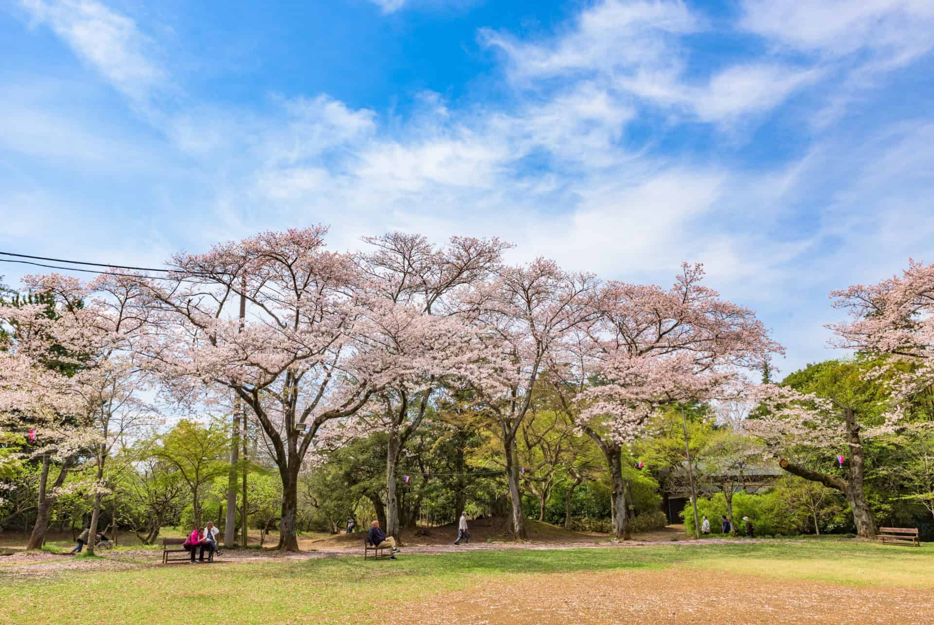 parc shiba tokyo parc shiba tokyo
