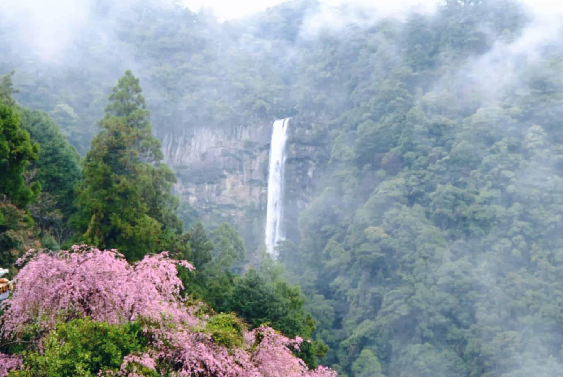 que faire a shingu cascade kumano kodo que faire a shingu cascade kumano kodo