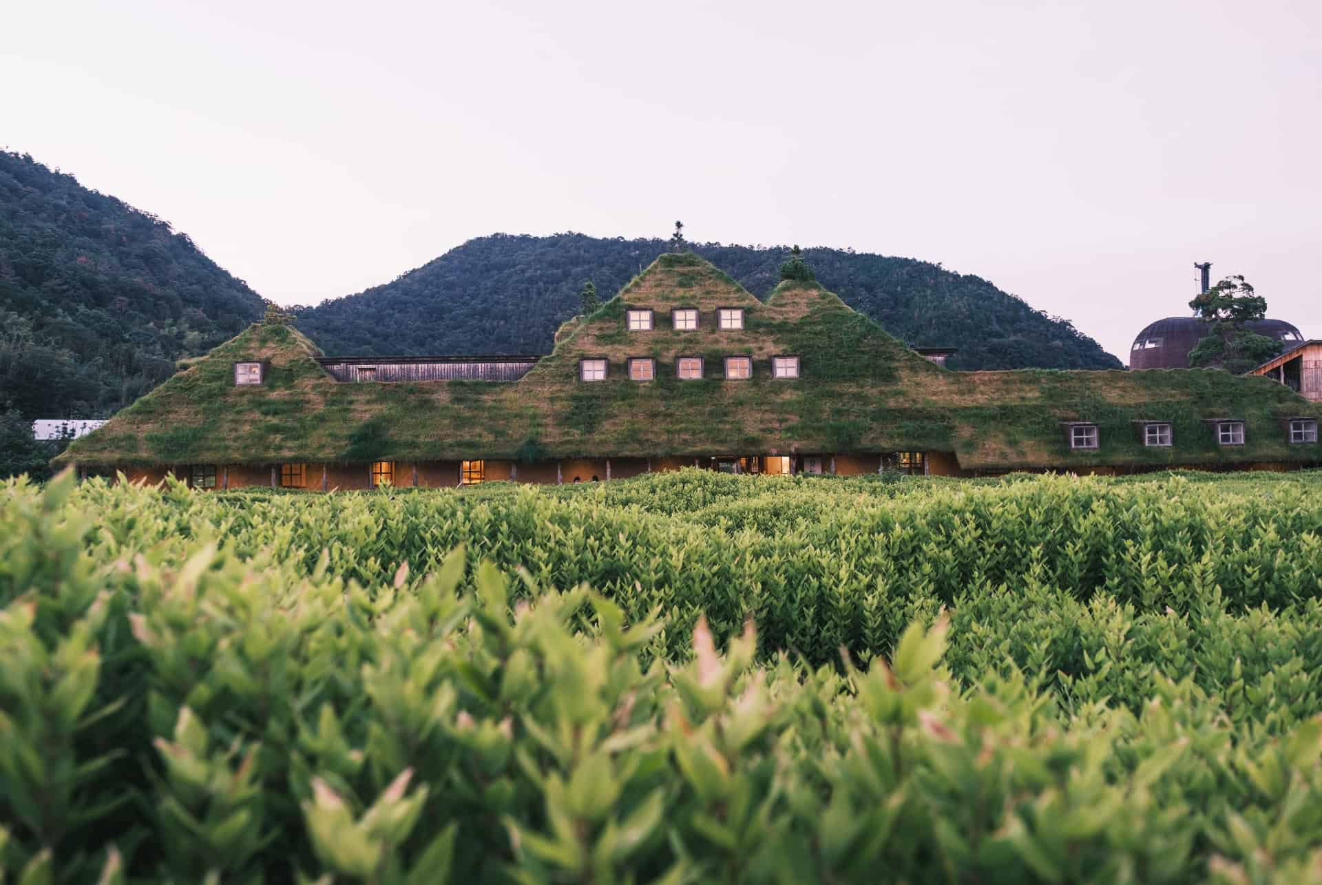 la collina omihachiman la collina omihachiman