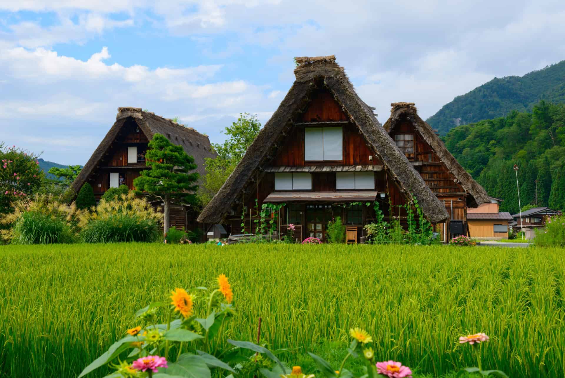 que faire a shirakawa go que faire a shirakawa go