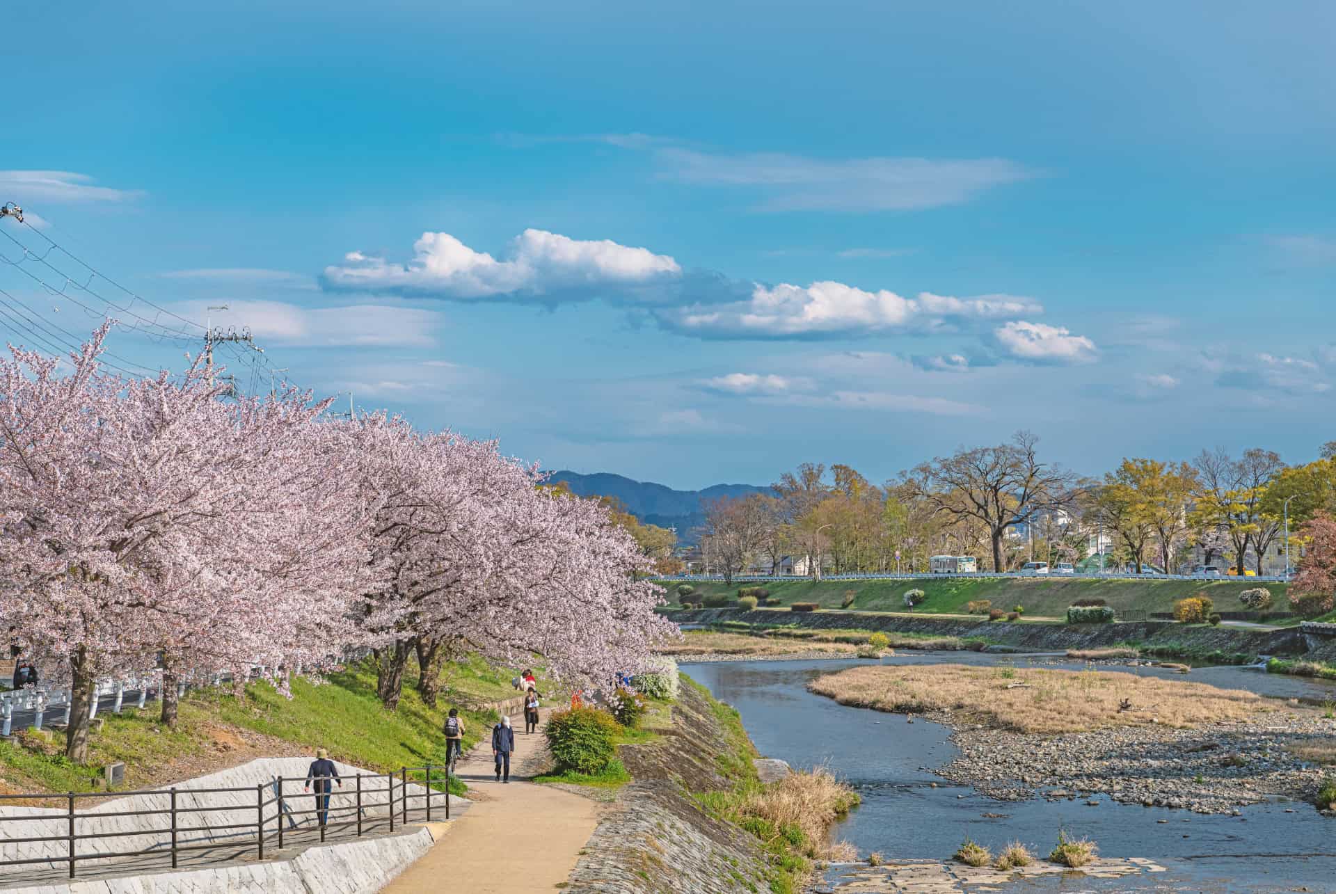 kamo-gawa kyoto kamo-gawa kyoto