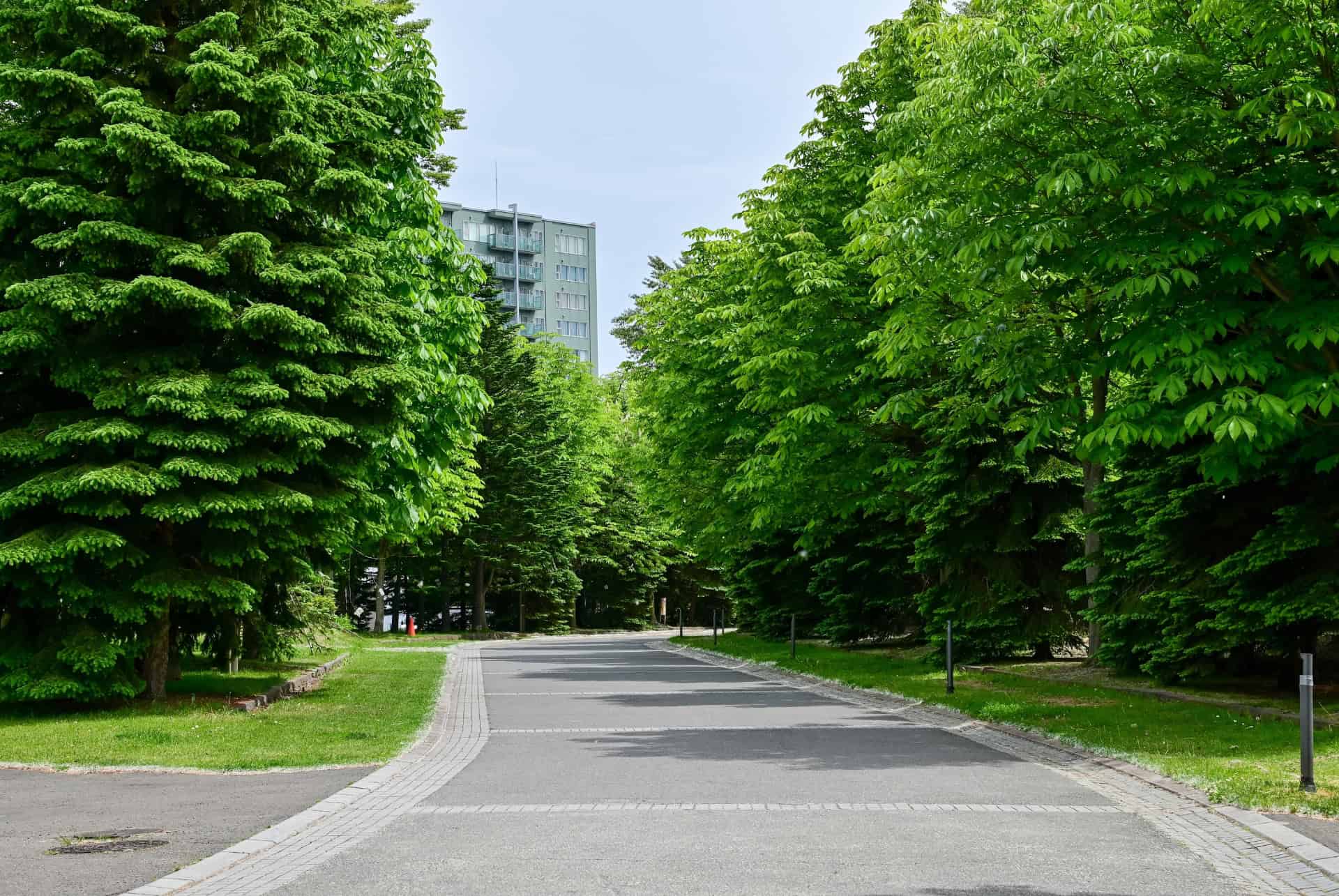 nakajima park ou dormir sapporo nakajima park ou dormir sapporo